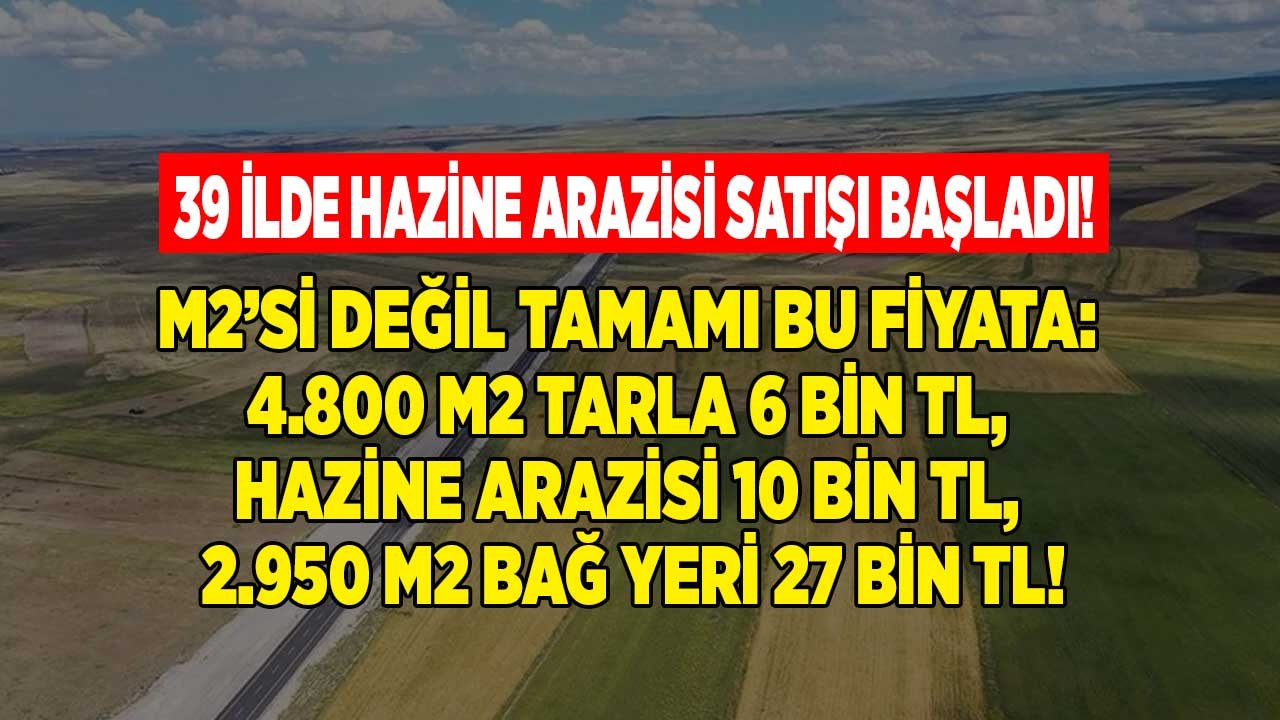 Bedavadan bir tık pahalı! 39 ile Milli Emlak Piyangosu 1 çeyrek altın fiyatına hazine arazisi alın