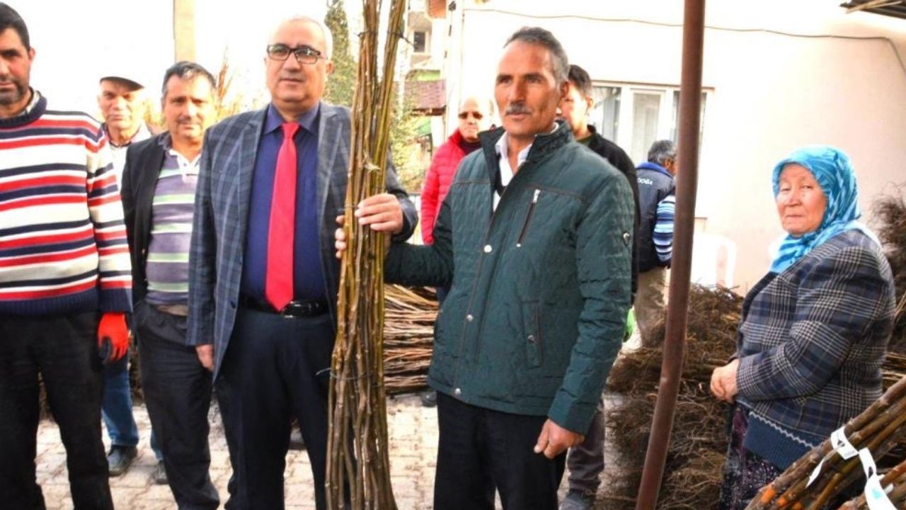 Denizli Çameli'nde coğrafi işaretli ceviz fidanı dağıtılacak!