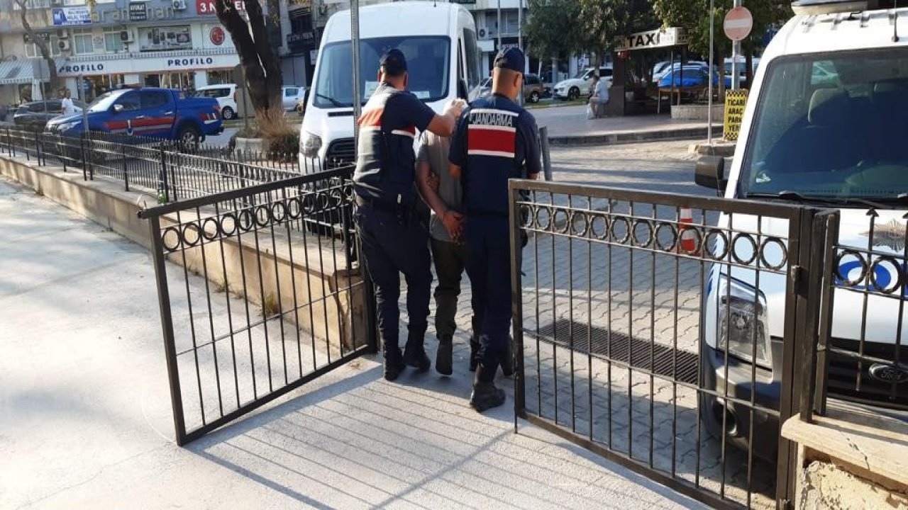 Aydın'da orman yangını çıkarmaya çalışan 2 kişi yakalandı