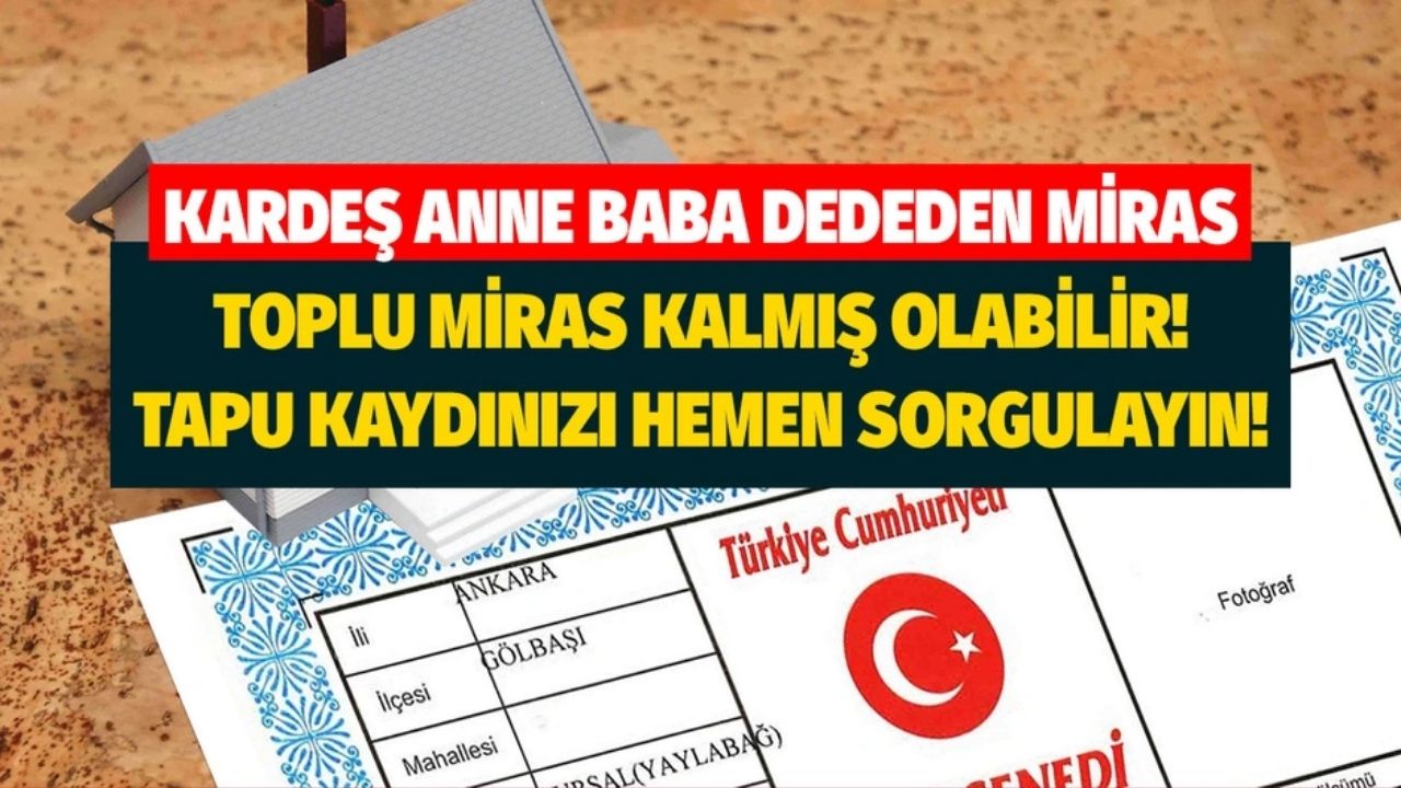 Belki zengin oldunuz haberiniz yok! Dede uzak akraba babadan kalan tapudan miras SORGULAMA e Devlet
