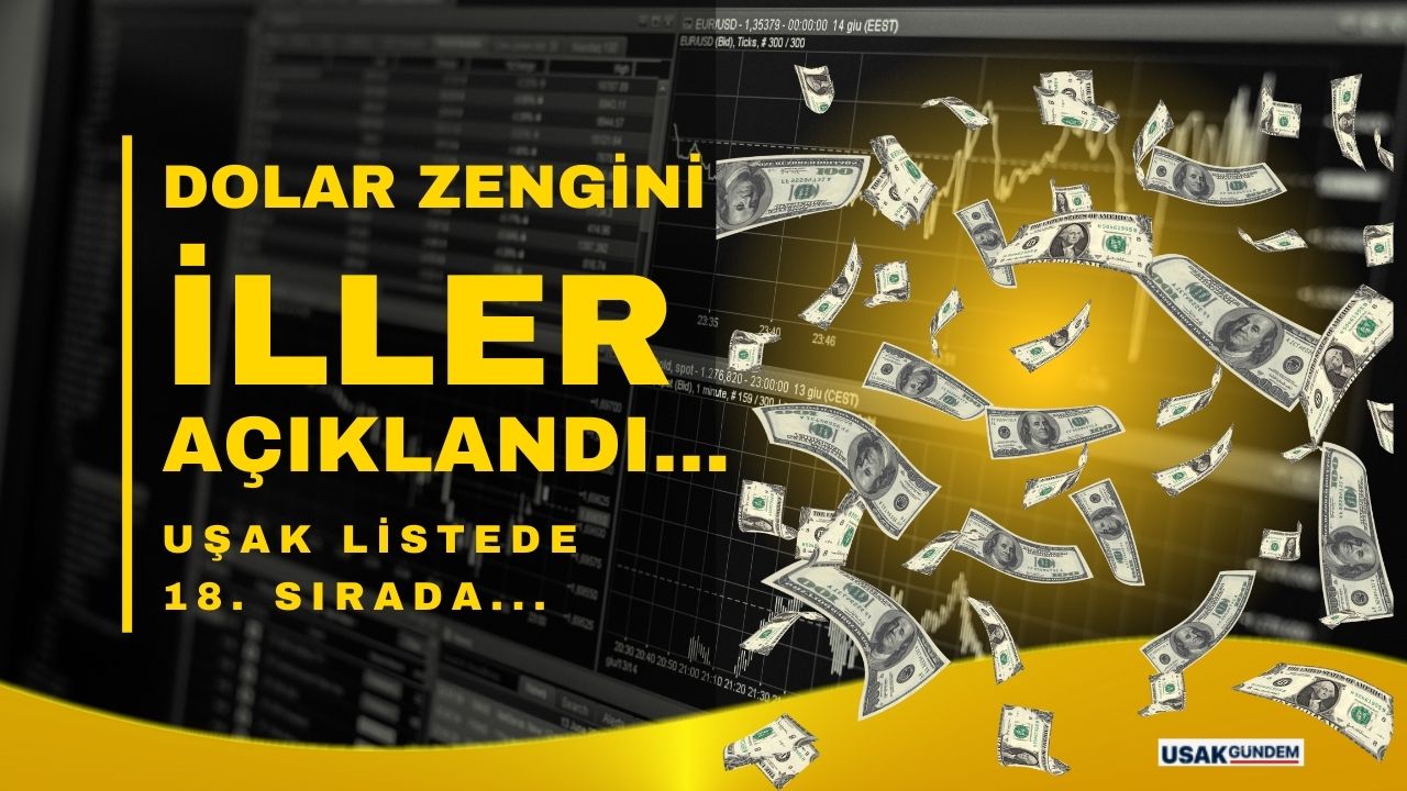 Türkiye'nin dolar zengini illeri açıklandı Uşak 18. oldu