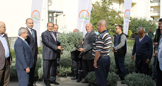 Uşak'ta üreticilere lavanta fidesi dağıtıldı