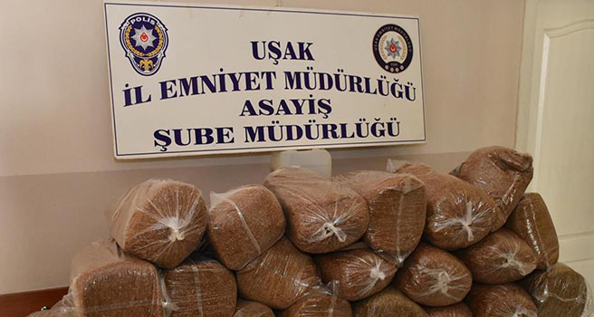 Uşak'ta kaçak tütün operasyonu