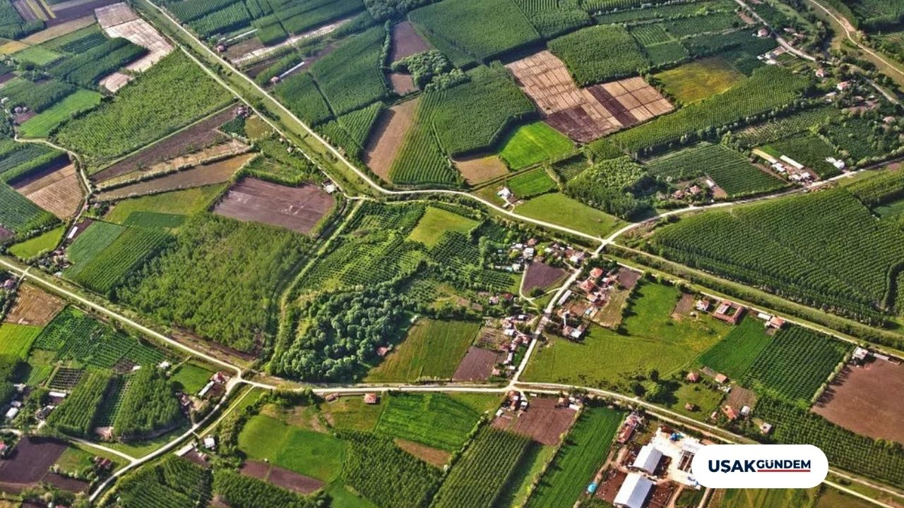 Milli Emlak sadece 14.800 TL’ye arsa satıyor! Parası olan resmen koşuyor
