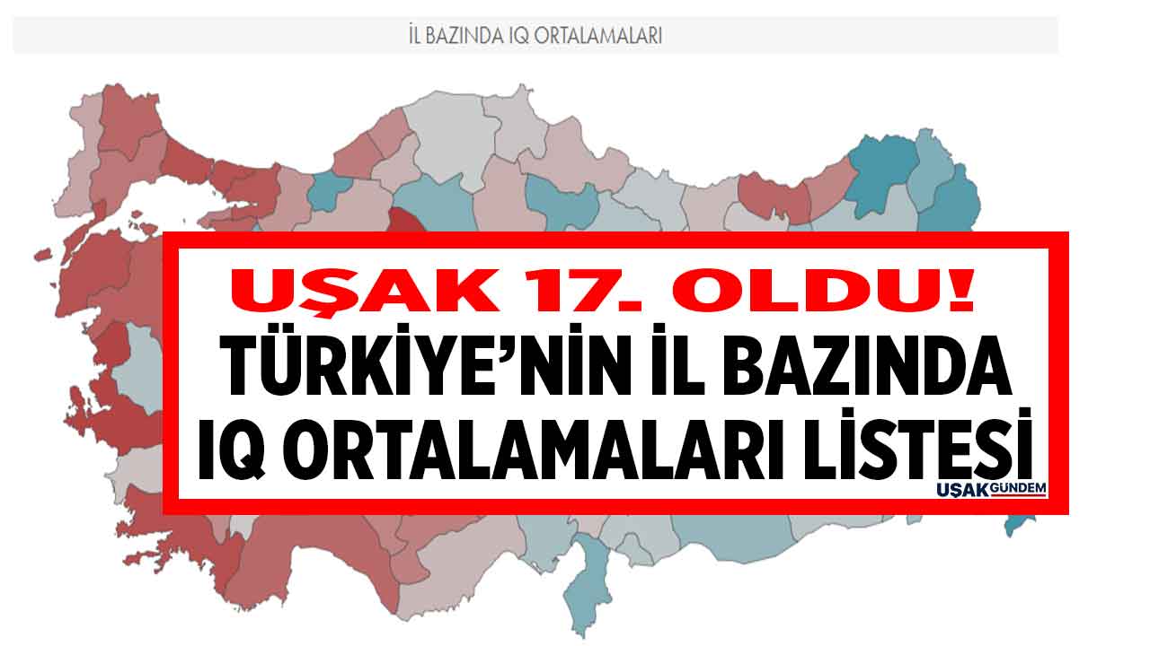 Türkiye'nin il bazında IQ ortalamaları listesi yayımlandı Uşak 17. oldu