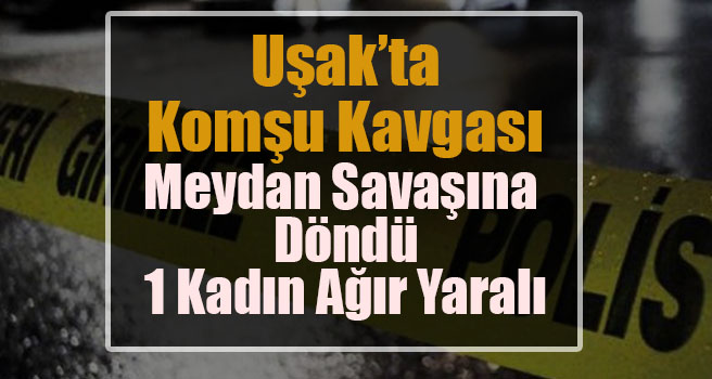 Komşu kavgası meydan savaşına döndü