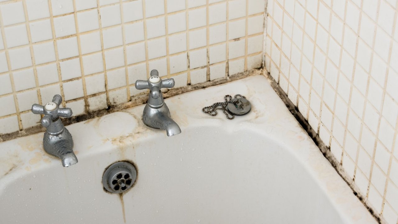 Her evde olan o 2 malzemeyle banyodaki küfleri ortadan kaldırabilirsiniz