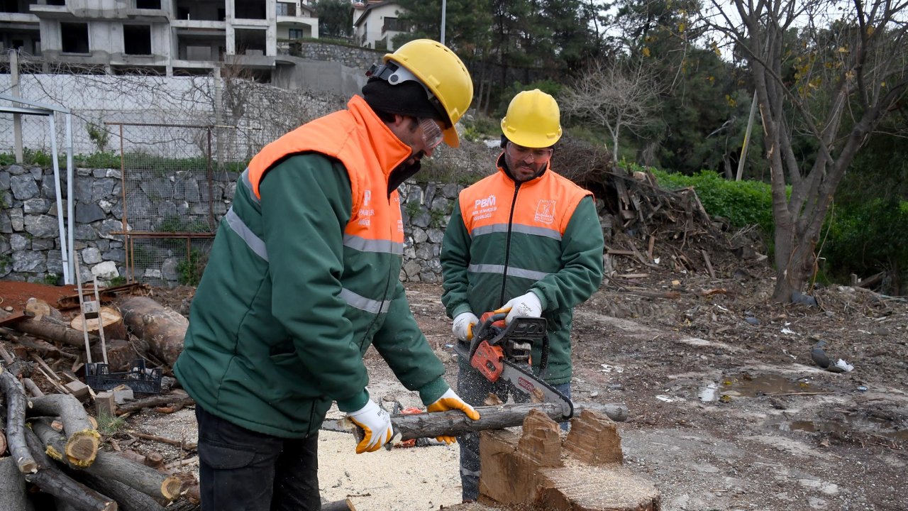 Kuşadası Belediyesi, ağaç atıklarını ihtiyaç sahiplerine yakacak yardımı olarak ulaştırıyor