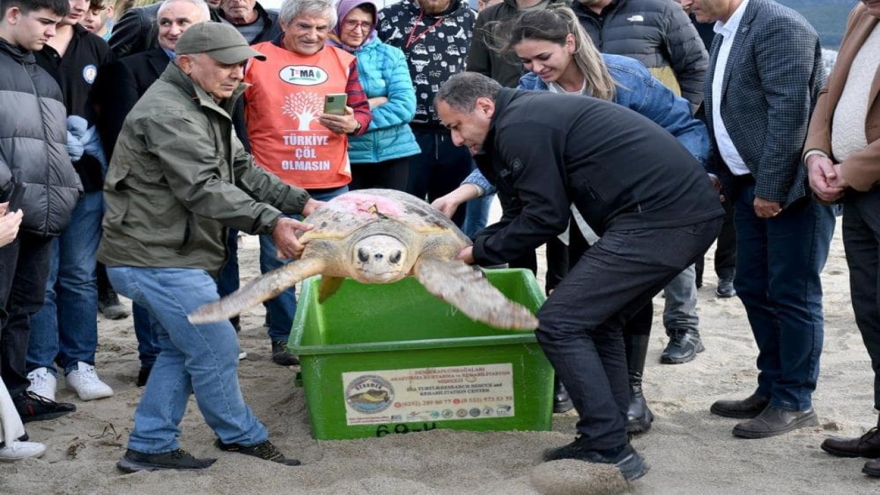 6 ayda tedavileri tamamlanan 3 caretta caretta doğalarına geri bırakıldı