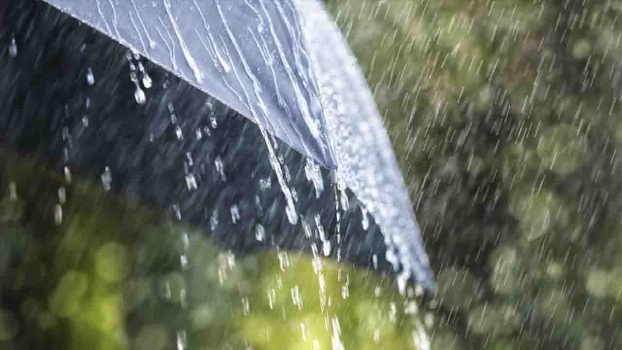 Meteoroloji'den Aydın'a ani su baskını ve sel uyarısı