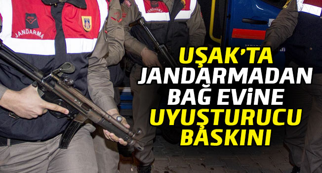 Uşak’ta jandarmadan bağ evine uyuşturucu operasyonu