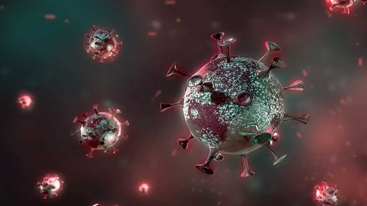 Koronavirüs sonrası yeni salgın patladı! Avrupa diken üstünde SİNSİ hastalık Türkiye sınırına dayandı