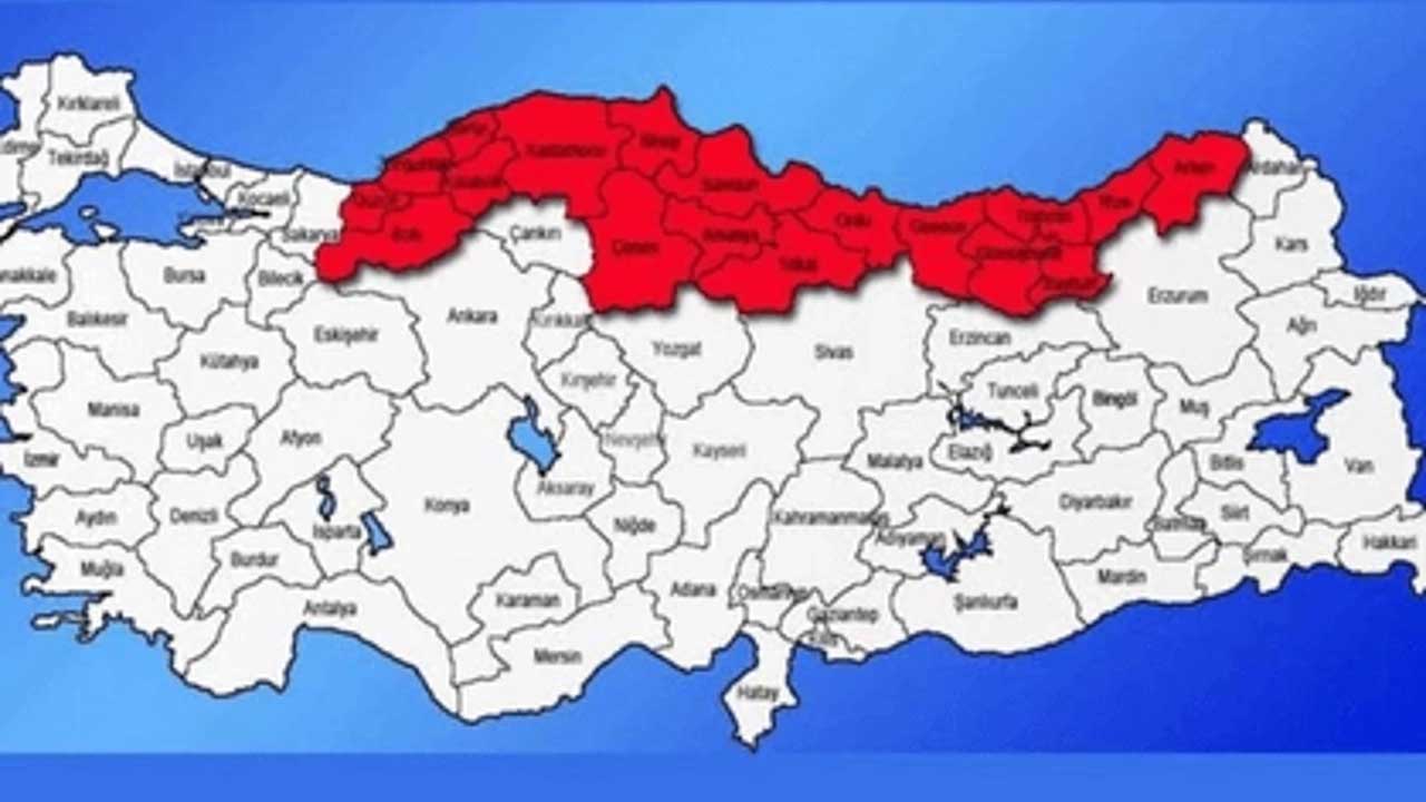SESSİZ İSTİLA başladı! Türkiye'ye girdi Karadeniz'i ele geçirdi aman dikkat çok zararlı