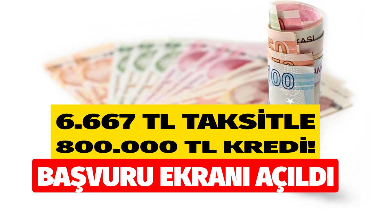 e-Devlet başvuru ekranı açıldı! 6.667 TL taksitle 2 yıl geri ödemesiz ve FAİZSİZ 800.000 TL kredi