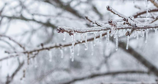 Meteorolojiden buzlanma ve don uyarısı