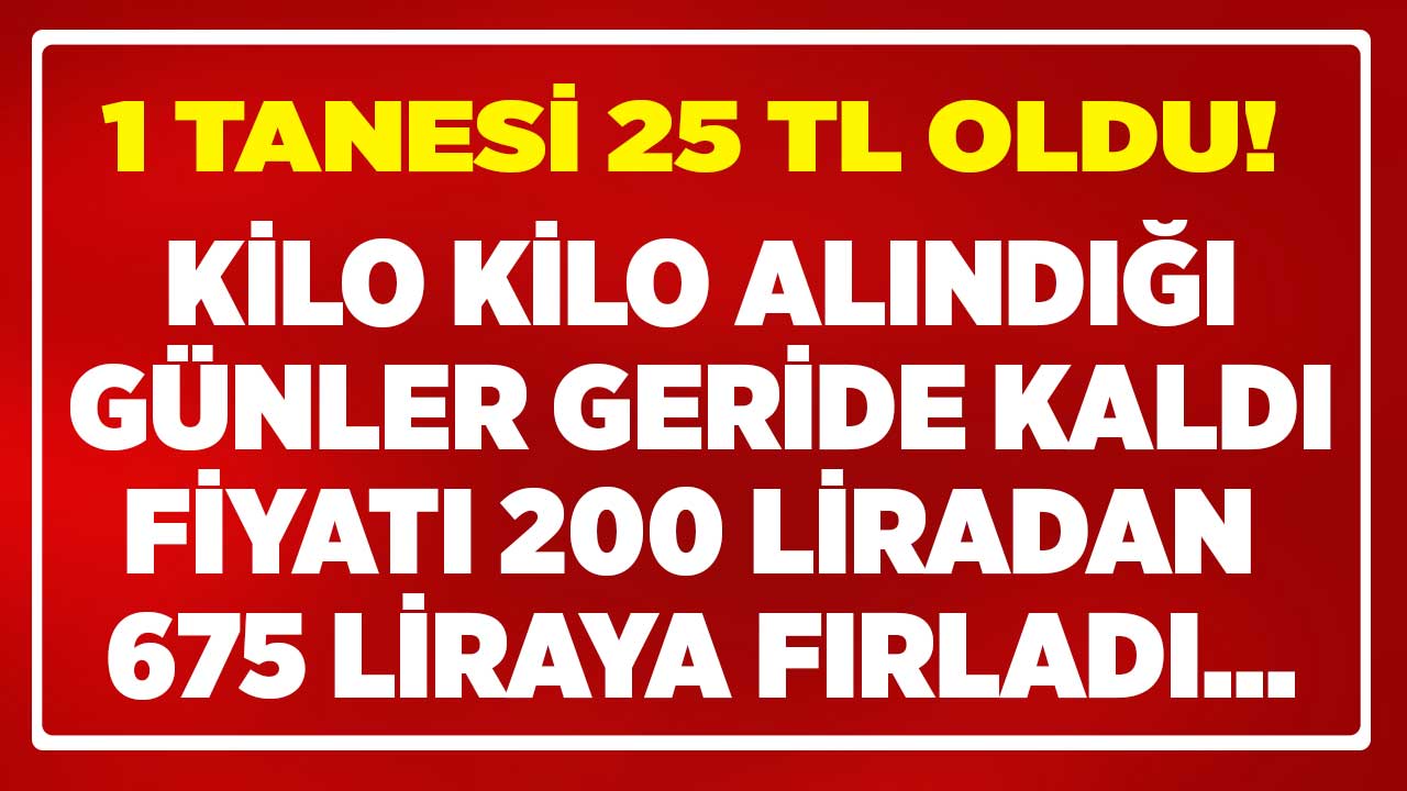 Kilo kilo alındığı günler geride kaldı fiyatı 200 liradan 675 liraya fırladı! 1 tanesi 25 TL oldu