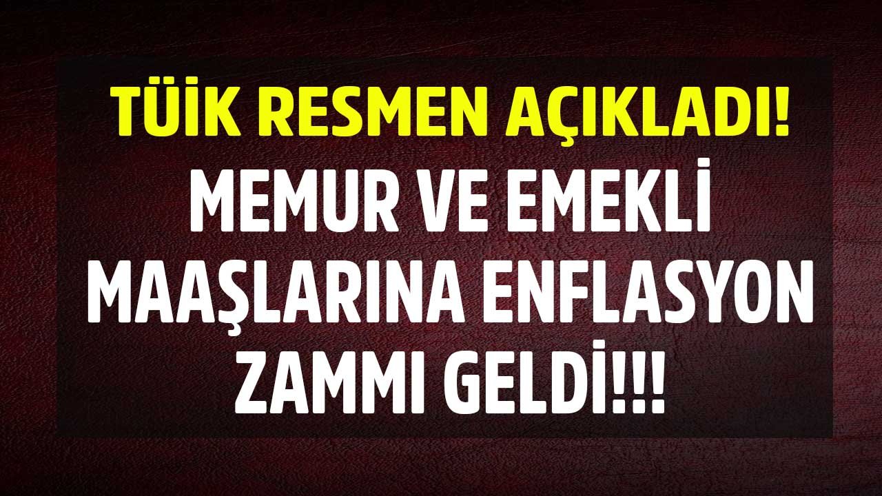 TÜİK Memur ve emekli maaşı enflasyon farkı ZAMMI açıklandı! 2024 TEFE TÜFE Maaş Zam Hesaplama