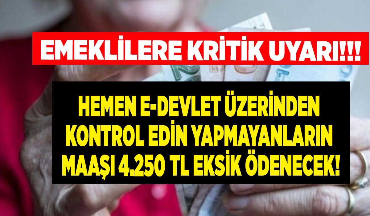 Emekliler hemen e-Devlet'ten KONTROL ETSİN! Kritik uyarı geldi bunu yapmayanın maaşı 4.250 TL eksik yatacak
