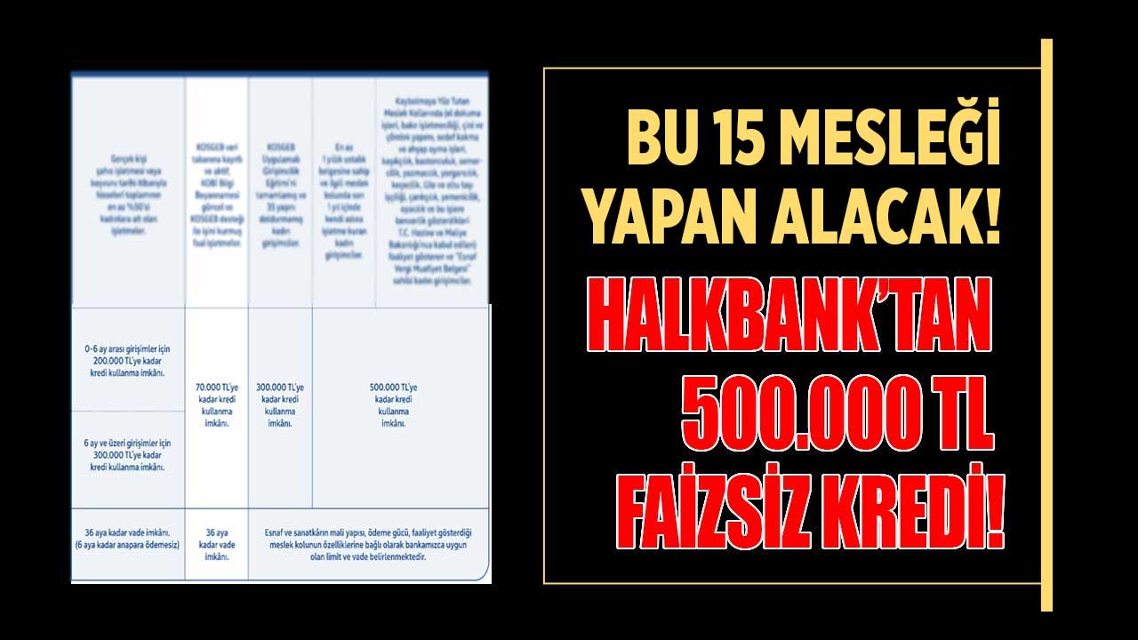 TAMAMEN FAİZSİZ 500.000 TL kredi! Halkbank 15 meslek için sıfır faizli destek kredisi müjdesi verdi