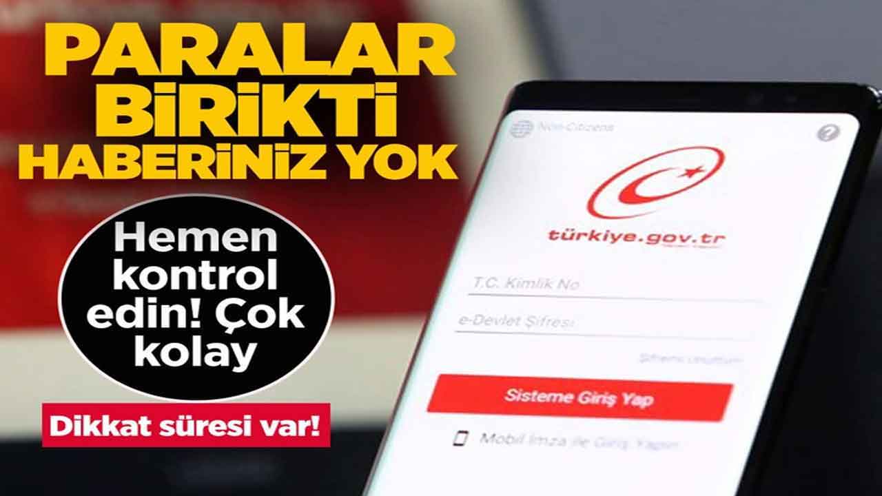 Hemen e-Devlet’e bakın süresi var! Dikkat paralar birikti kimsenin haberi yok