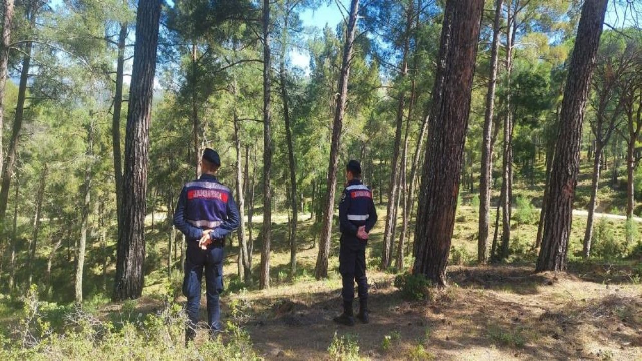 Aydın’da jandarma ekipleri orman yangınları için denetime başladı
