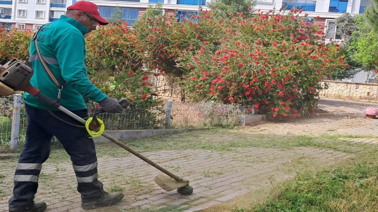 Aydın’da mahalle sakinlerinin isteği üzerine ekipler temizlik çalışması yaptı