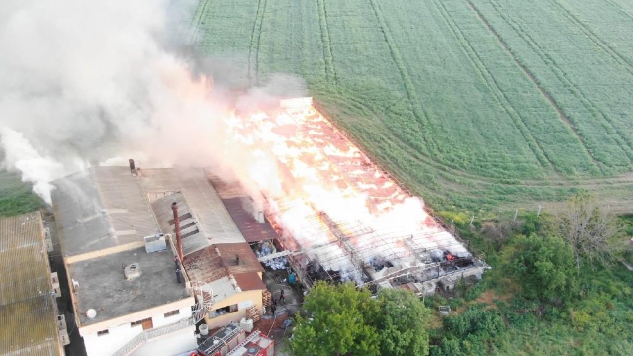 Manisa’da çıkan yangında 160 ton kozalak küle döndü