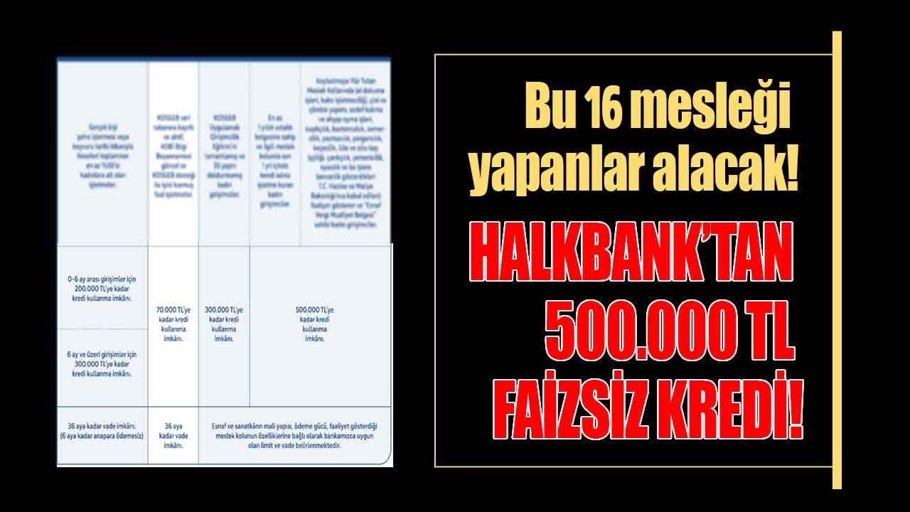 Bu 16 mesleği yapana Halkbank FAİZSİZ 500 bin TL kredi müjdesi verdi! 0 faizli destek kredisi