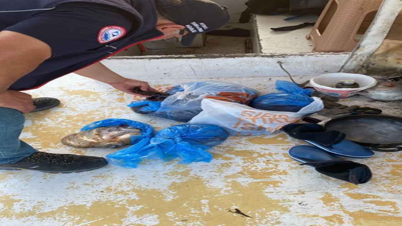 Aydın Didim'de kanuna aykırı davrananlar çevre denetimine takıldı
