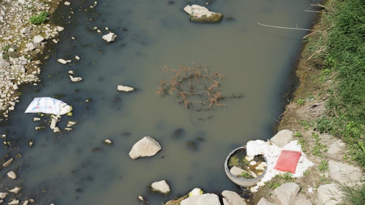 Aydın Büyük Menderes Nehri çöplerle kirletiliyor!
