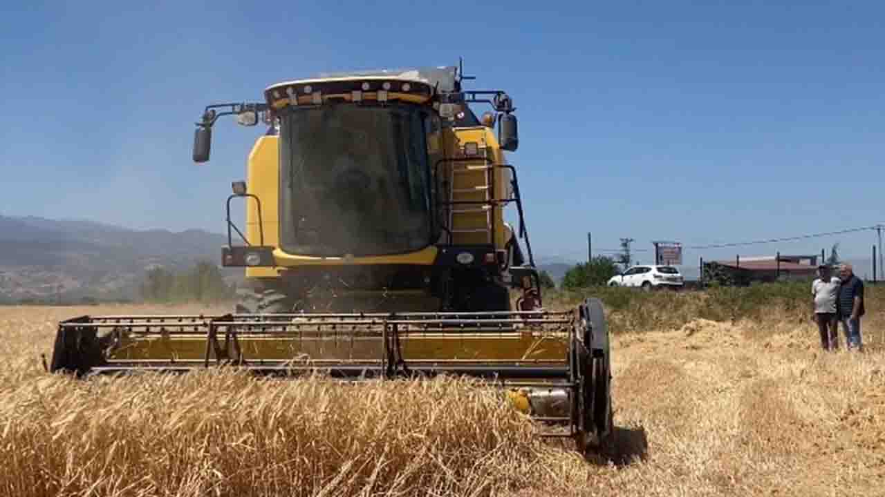 Manisa Alaşehir'de arpa hasadına başlayan çiftçiler fiyatın açıklanmasını istiyorlar