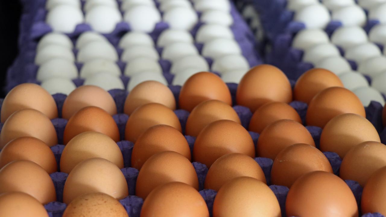 Hangi yumurta daha sağlıklı? Beyaz mı yoksa kahverengi mi?