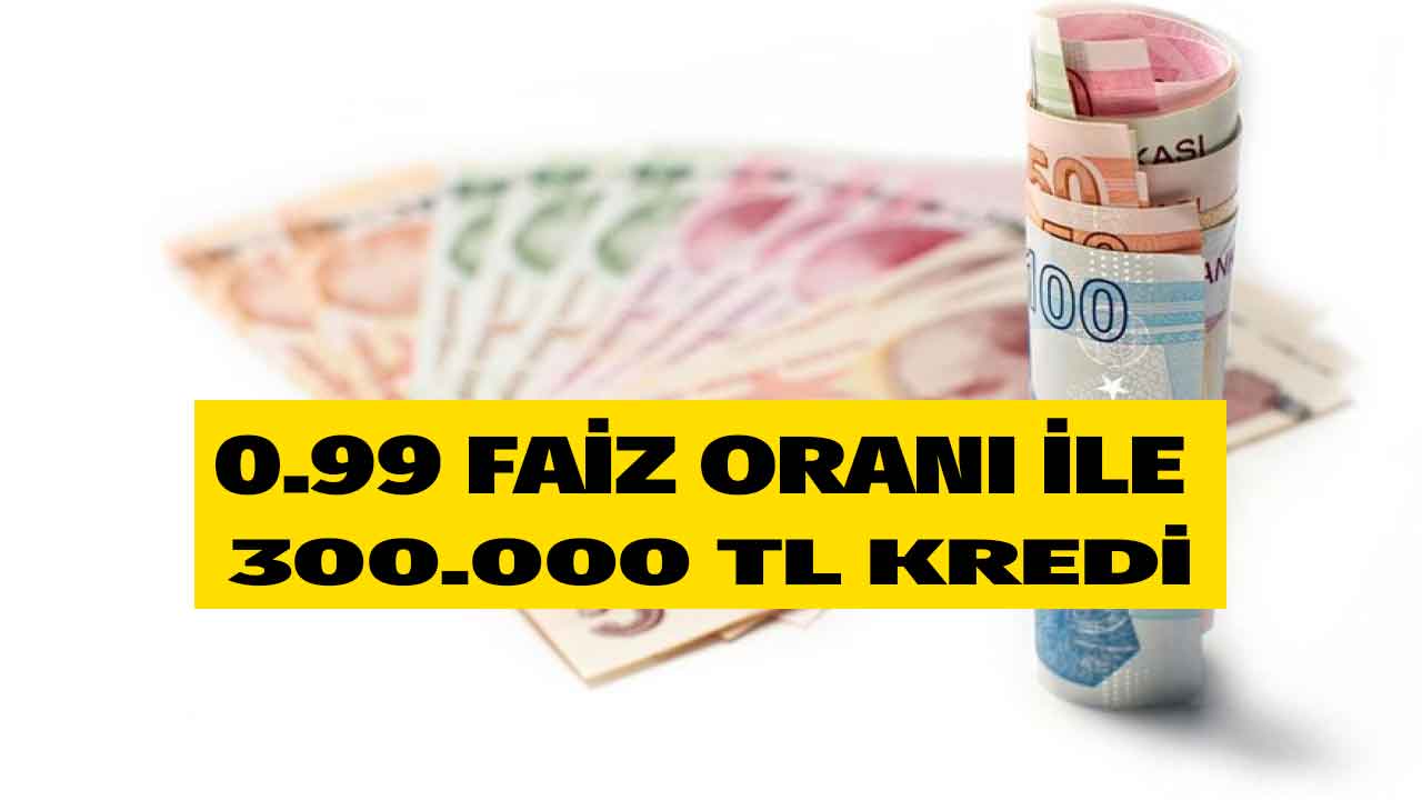 Kampanyaların şahı geri döndü! 0.99 faiz oranı ile 300.000 TL destek kredisi