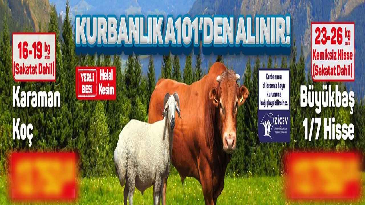 A101'den 4.583 TL ödeyene kurbanlık koç 5.650 liraya kurbanlık dana hisse satışı başladı