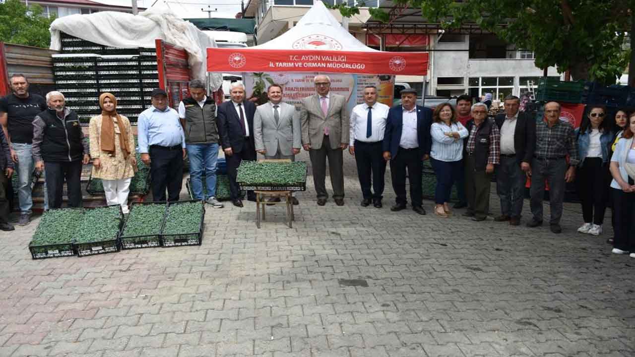 Aydın Nazilli'de 45 bin ücretsiz fide dağıtıldı