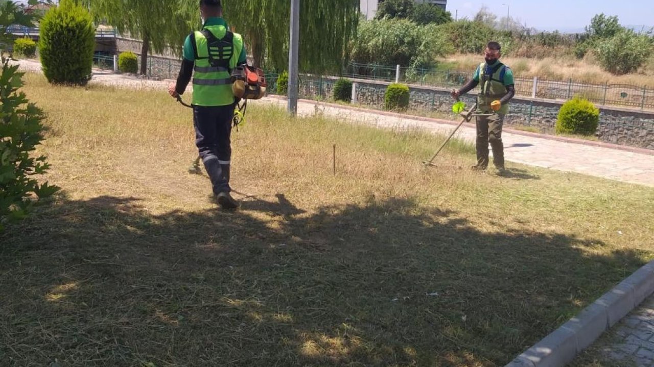 Aydın’da Nazilli Belediyesi yeşil alanları yaza hazırlıyor