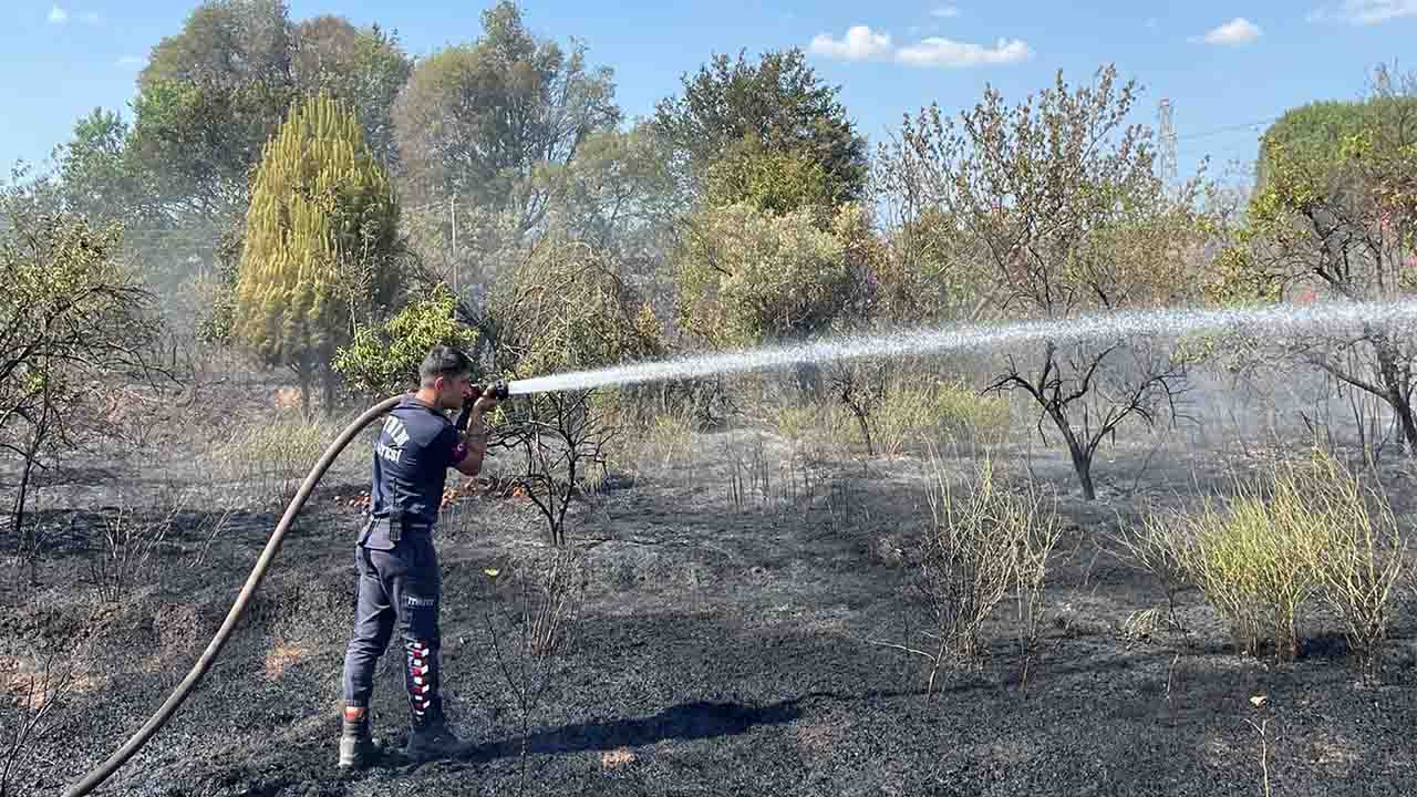 Aydın Efeler'de arazi yangını hızlı müdahale ile kontrol altına alındı!