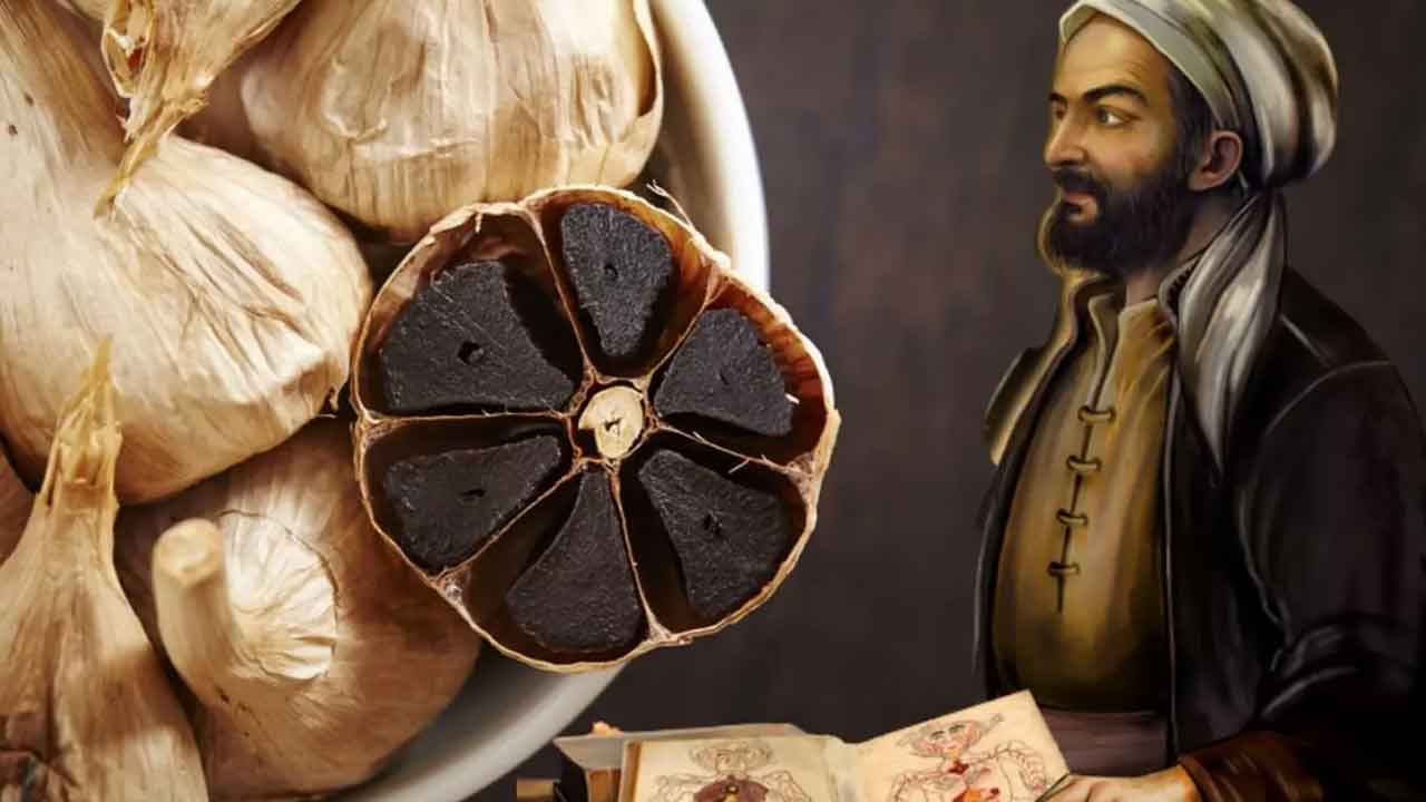 İbn-i Sina yüzyıllar önce antibiyotik olarak bunu kullanıyormuş! Sarımsaktan 30 kat daha güçlü