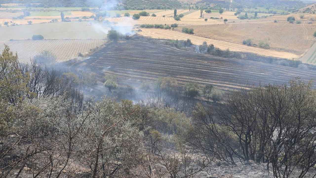 Manisa Kula’da peş peşe yangınlar! 100 dönüm ekili arazi küle döndü