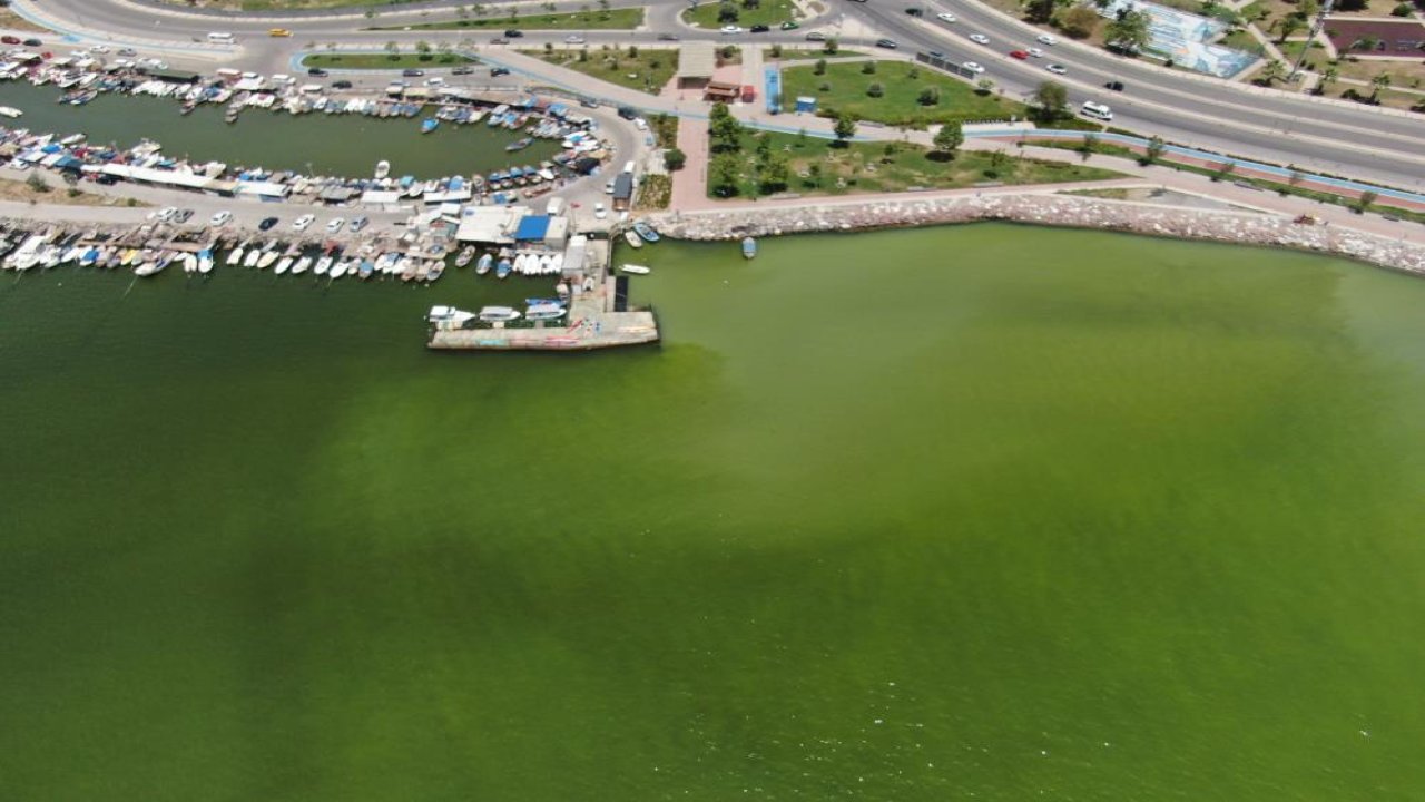 İzmir’in ilçelerinde denizin rengi kahverengi ve yeşile döndü