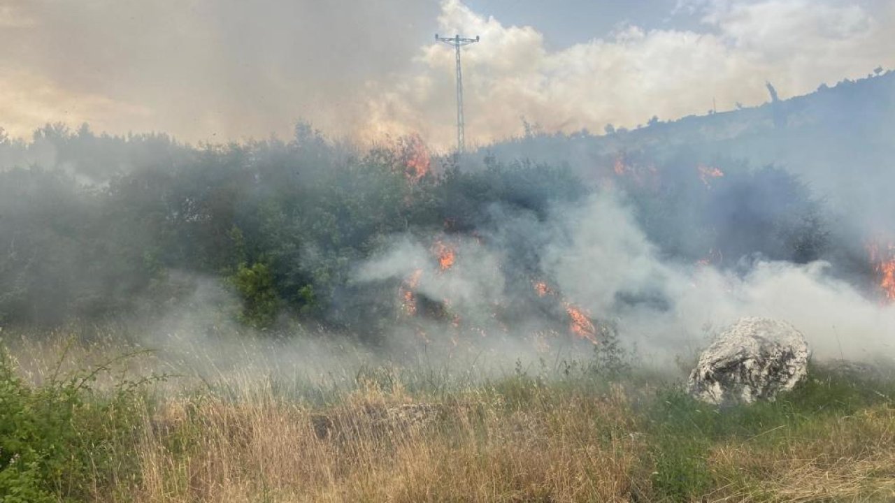 Denizli’de 1 günde 10 orman yangını çıktı