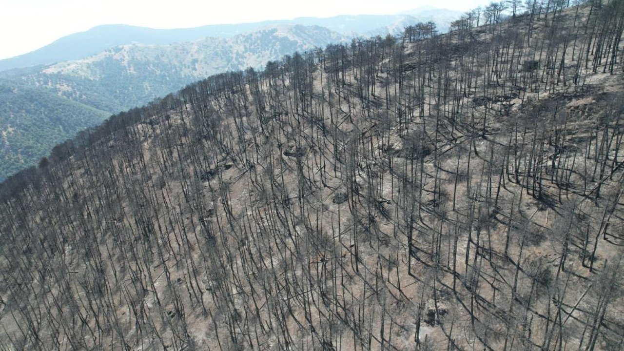 Denizli’deki orman yangını 22 saatin sonunda kontrol altına alındı