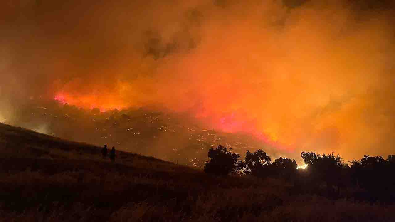 İzmir'de zeytinlik alana sıçrayan orman yangını korkuttu!