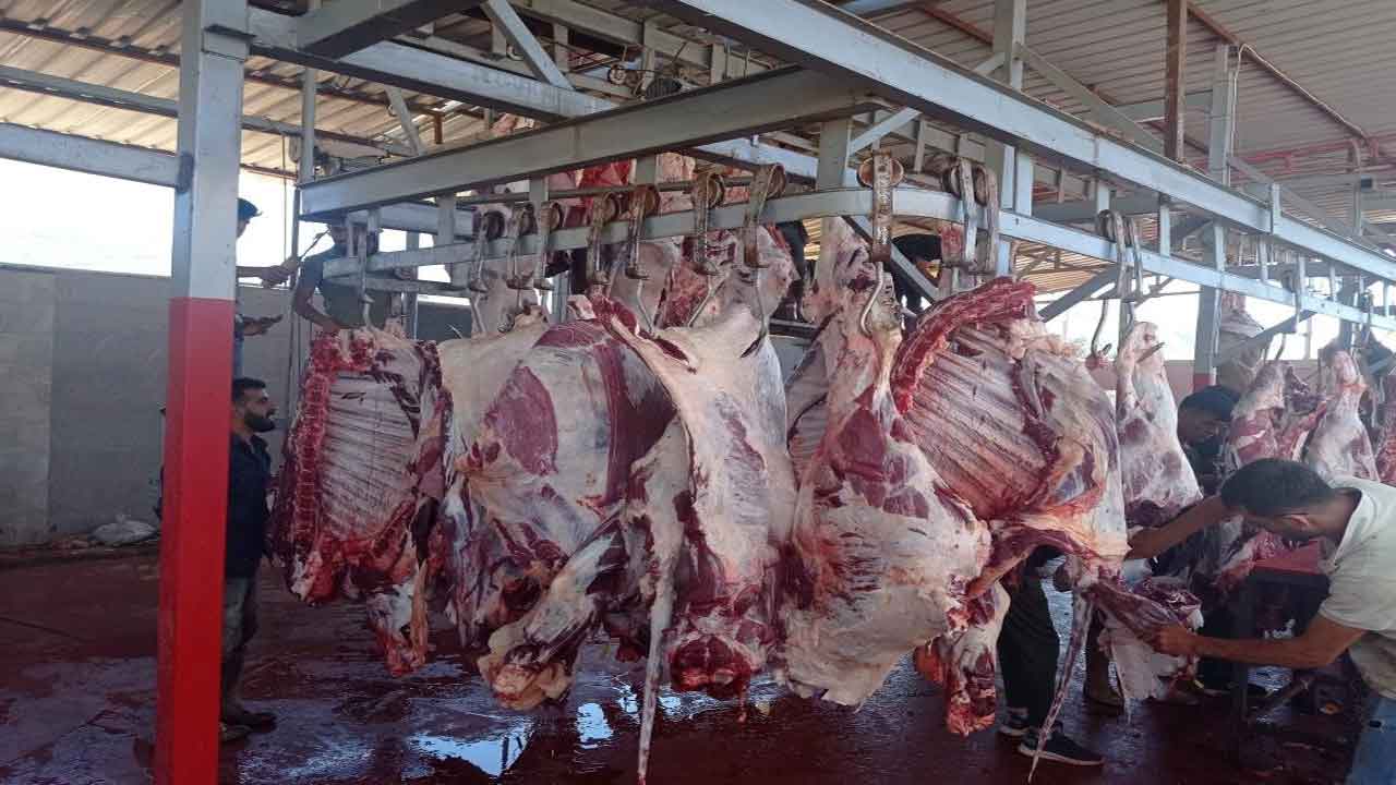 Aydın Söke'de kurban kesim yerleri denetlendi