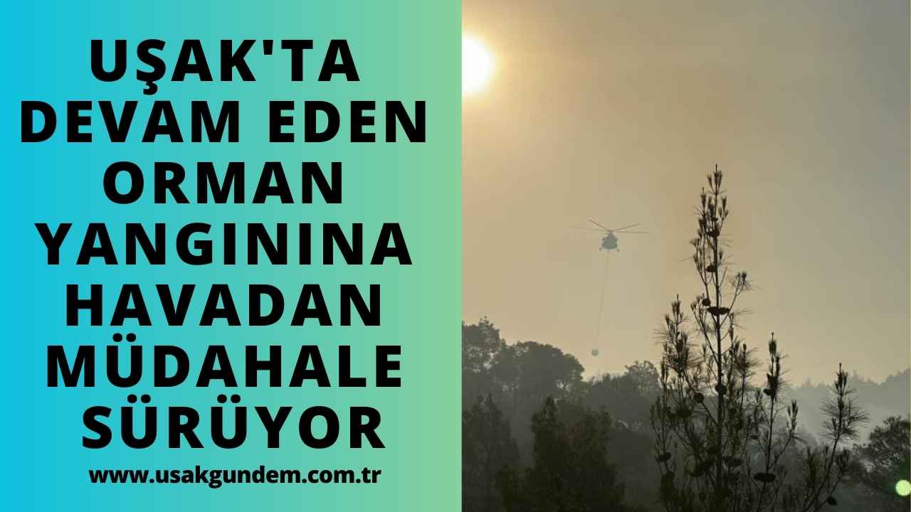 Uşak'ta devam eden orman yangınına havadan müdahale sürüyor