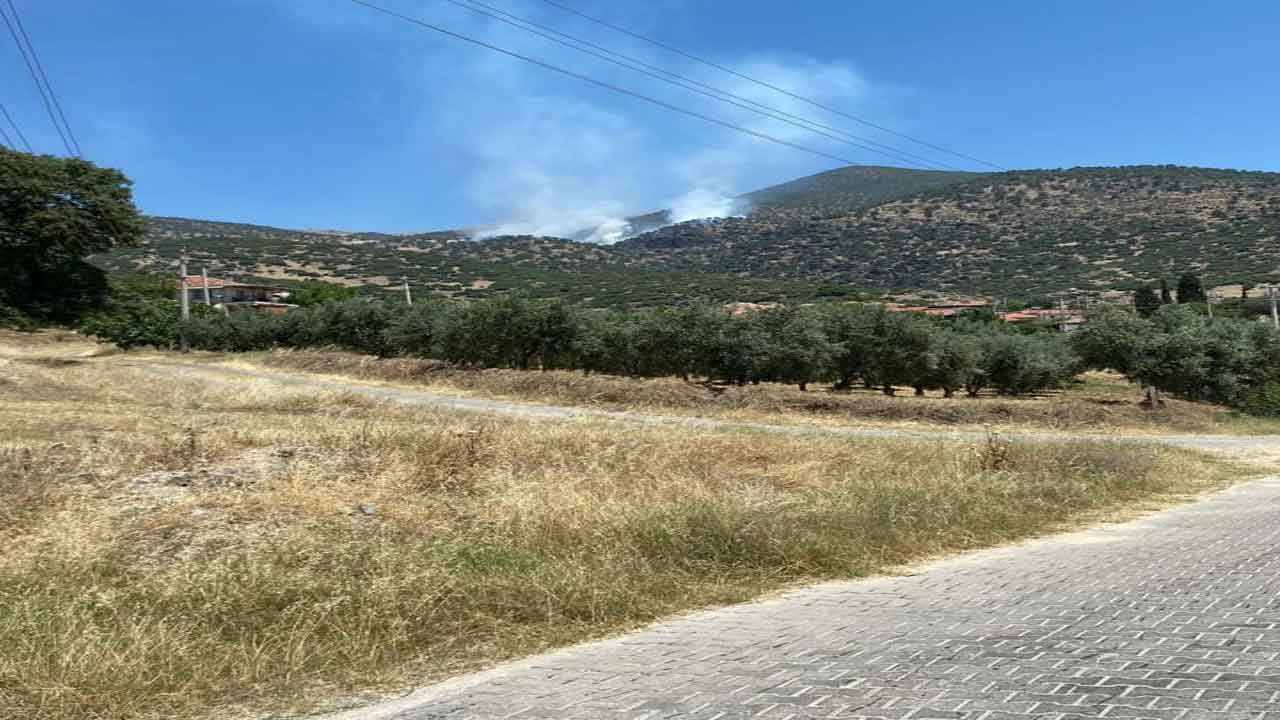 Manisa Salihli'de son dakika orman yangını başladı!