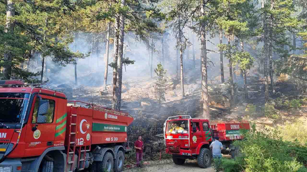 Aydın'da orman yangınında 22 dönüm alan zarar gördü!