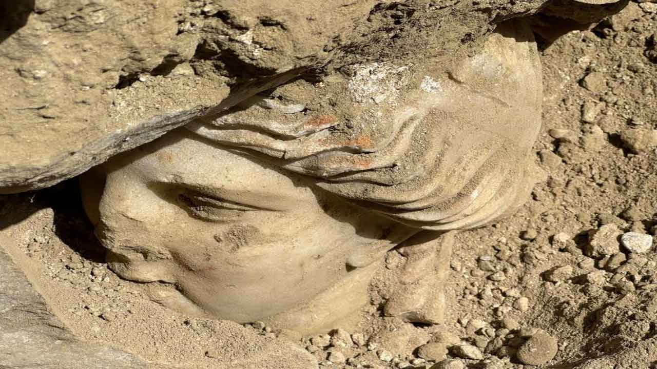 Sağlık Tanrıçası Hygieia Denizli'de bulundu!