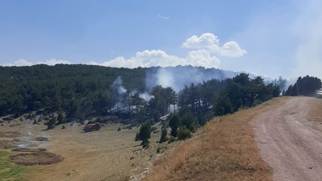 Kütahya’daki orman yangınında 1 hektarlık ormanlık alan zarar gördü