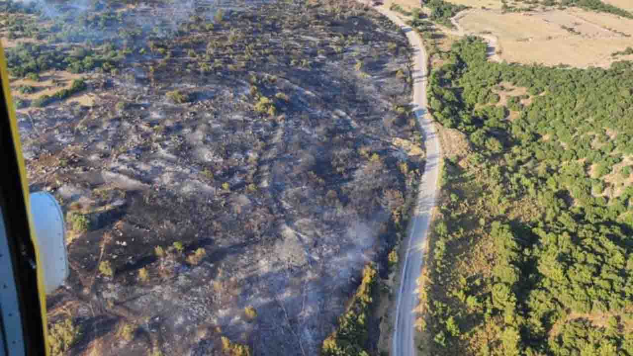Manisa'da 2 orman yangını söndürüldü!